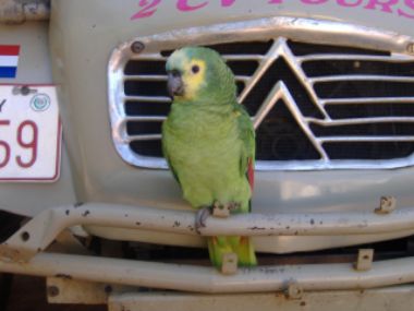 Willkommen in Paraguay