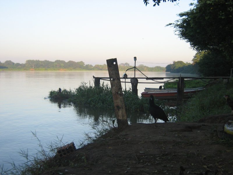 Morgengrauen im Pantanal